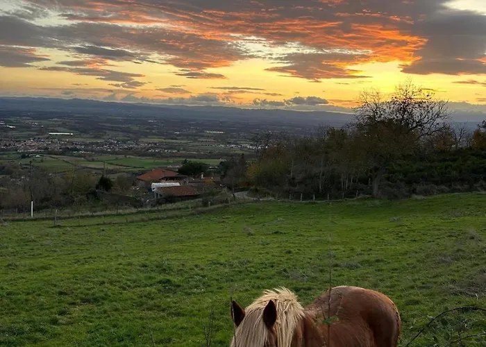 La Petite Chavanne 4 Etoiles Champdieu